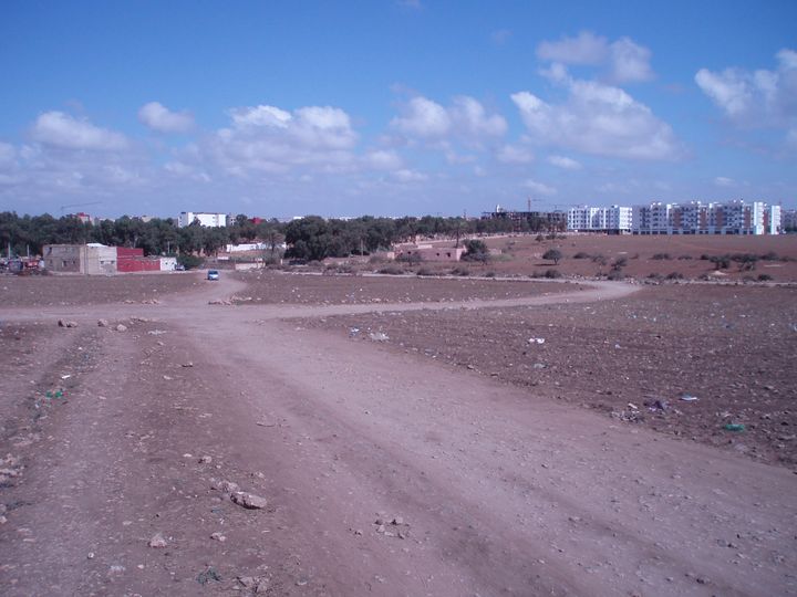 Blog Image